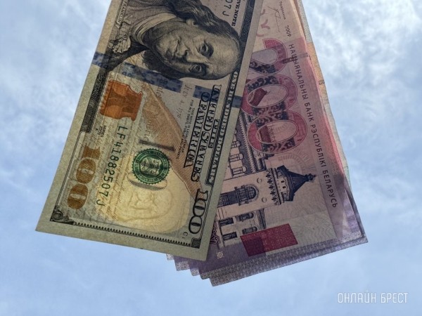 Как сильно подешевеет доллар? Прогноз по валютам