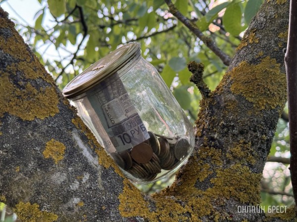 С 1 ноября в Беларуси вырастет бюджет прожиточного минимума — вот на сколько